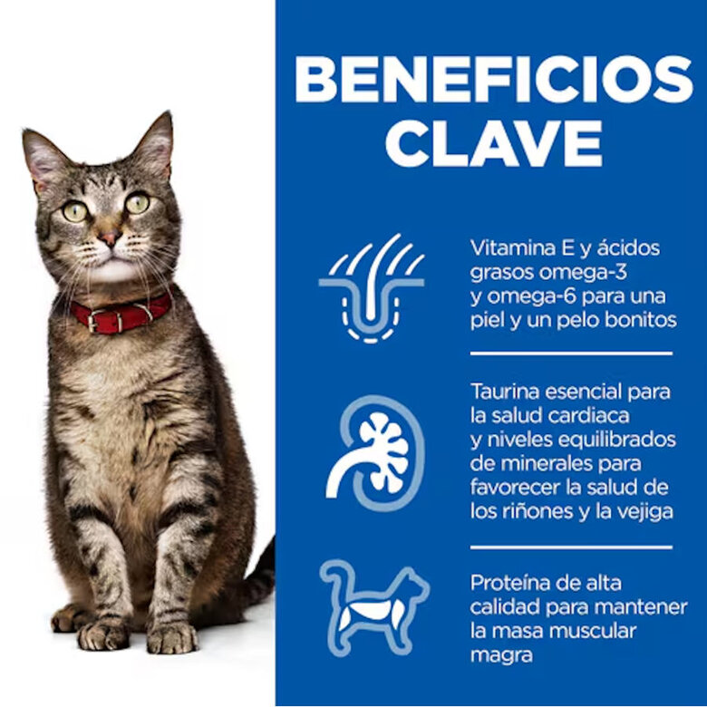 12 sobres x 85 g Hill's Science Plan Adult Pollo, Pescado Azul y Vacuno en Salsa sobre para gatos,  Imagen numero 2 12 sobres x 85 g Hill's Science Plan Adult Pollo, Pescado Azul y Vacuno en Salsa sobre para gatos, , large Imagen numero 2