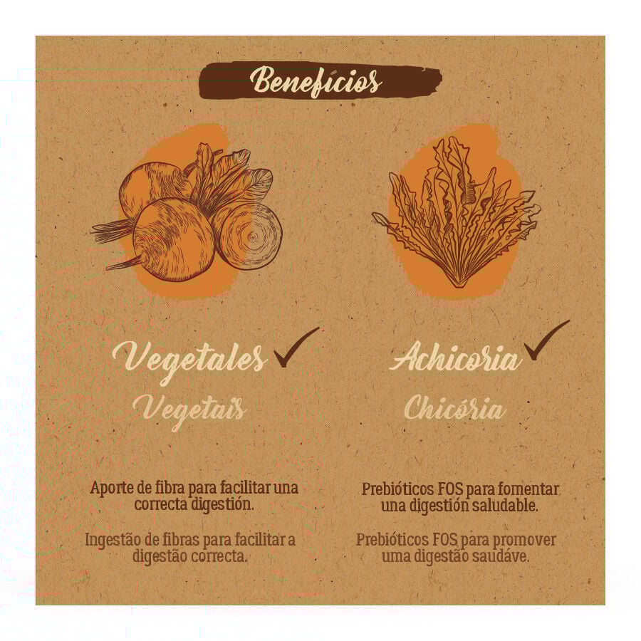 True Origins Pure Kitten Poultry Pollo pienso para gatos thumbnail