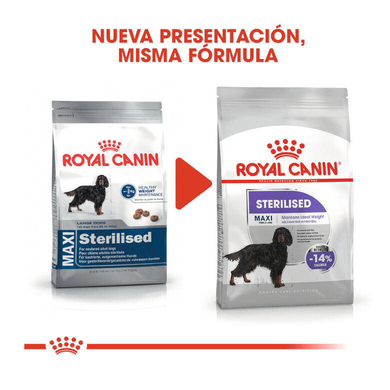 Royal Canin Sterilised Maxi pienso para perros thumbnail
