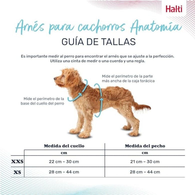 Halti arnés anatómico para cachorros y perros pequeños,  Imagen numero 2 Halti arnés anatómico para cachorros y perros pequeños, , large Imagen numero 2