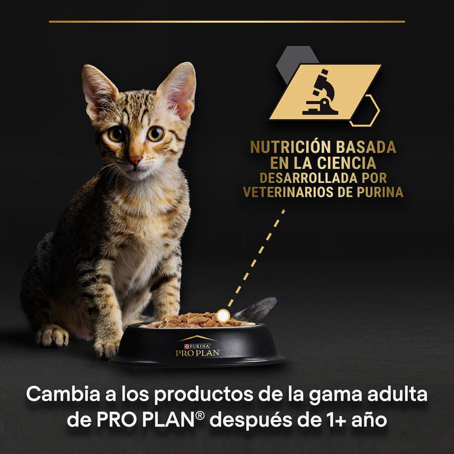Pro Plan NutriSavour Feline Kitten Pavo en salsa sobre para gatitos thumbnail