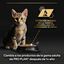 85 g Pro Plan NutriSavour Feline Kitten Pavo en salsa sobre para gatitos, , large indicador imagen numero 8
