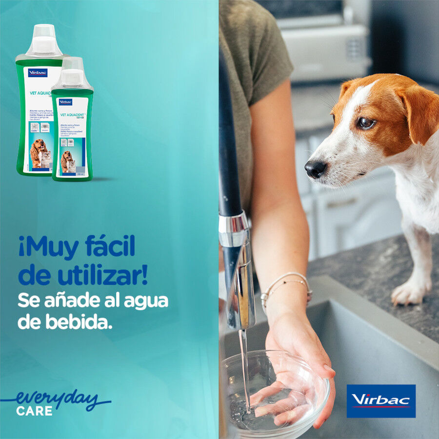 Virbac Vet Aquadent Enjuague Bucal para perros y gatos thumbnail