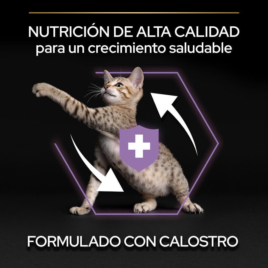 Pro Plan Kitten Pollo pienso para gatitos thumbnail