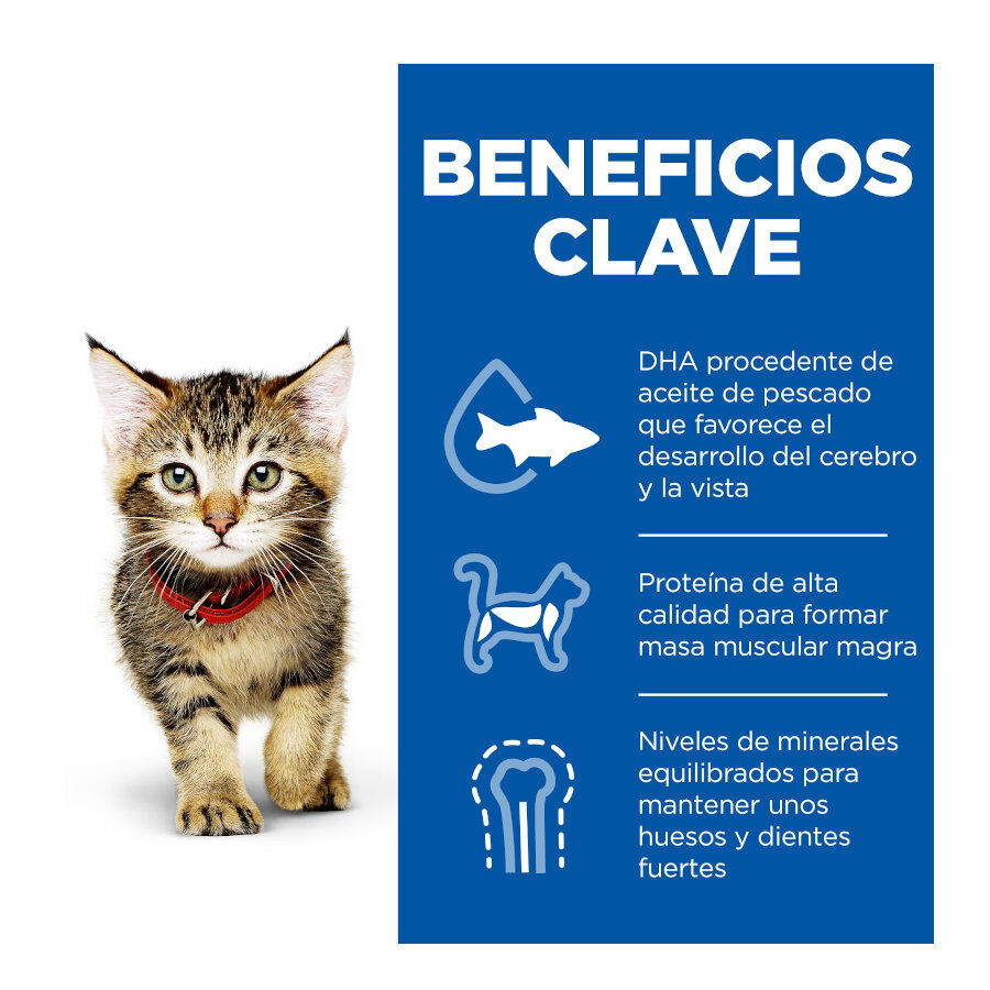12 sobres x 85 g Hill's Science Plan Kitten Pollo y Pavo en Salsa sobre para gatos, , large Imagen numero 4