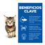 12 sobres x 85 g Hill's Science Plan Kitten Pollo y Pavo en Salsa sobre para gatos, , large indicador imagen numero 4