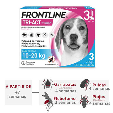 Frontline Tri-Act Pipetas Antiparasitarias para perros 10 - 20 kg
