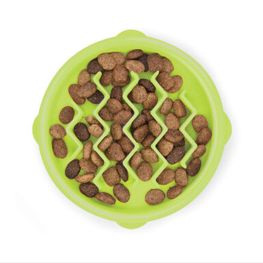 Outward Hound Catstages Cat Fun Comedero Lento Verde para gatos