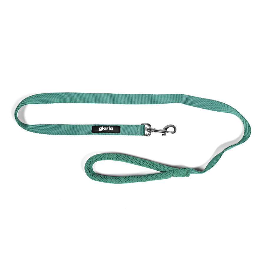 Gloria Air Mesh Trek Star Turquesa Correa para perros, , large Imagen numero 3