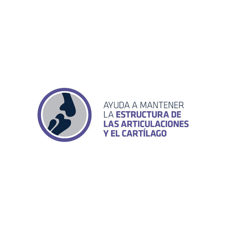 Affinity Advance Palitos Articular Forte para perros, , large image number null