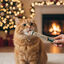 1 sobre Wonder Christmas Snack Líquido Navideño para gatos, , large indicador imagen numero 2
