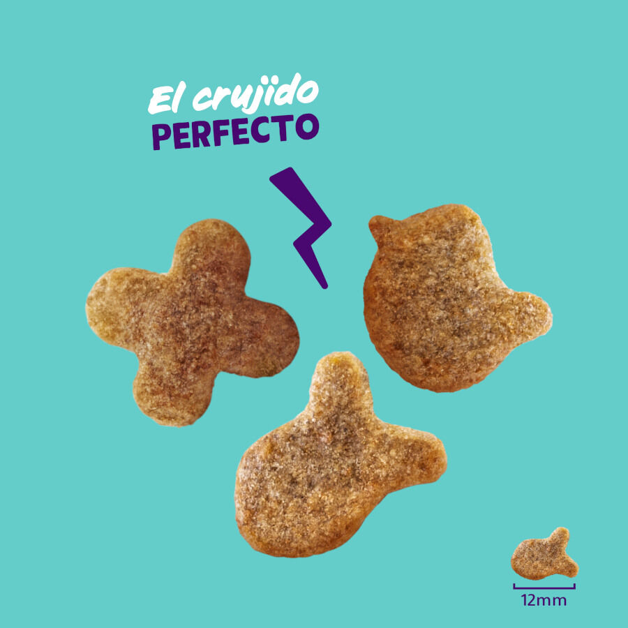 Edgard &amp; Cooper Galletas Crunchies Pollo para gatos thumbnail