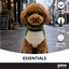 Gotoo Jersey Polar Verde para perros, , large indicador imagen numero 6