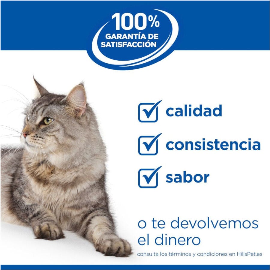 Hill&#039;s Science Plan Perfect Weight Adult pollo pienso para gatos thumbnail
