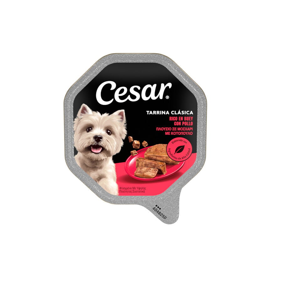28 tarrinas x 150 g (20 + 8 tarrinas &iexcl;gratis!) Cesar Buey Tarrina en Pat&eacute; para Perros, , large Imagen numero 1
