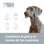 PSH Ozone Soft Champú para perros y gatos, , large indicador imagen numero 2