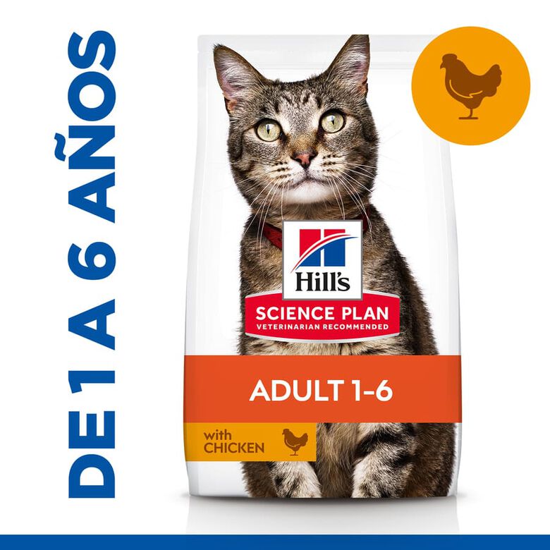 Hill&#039;s Science Plan Adult Pollo pienso para gatos thumbnail