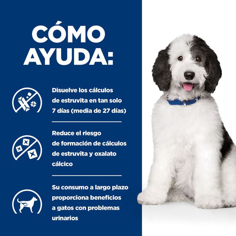Hill&#039;s Prescription Diet Urinary Care c/d Estofado de Pollo y Verduras lata para perros thumbnail