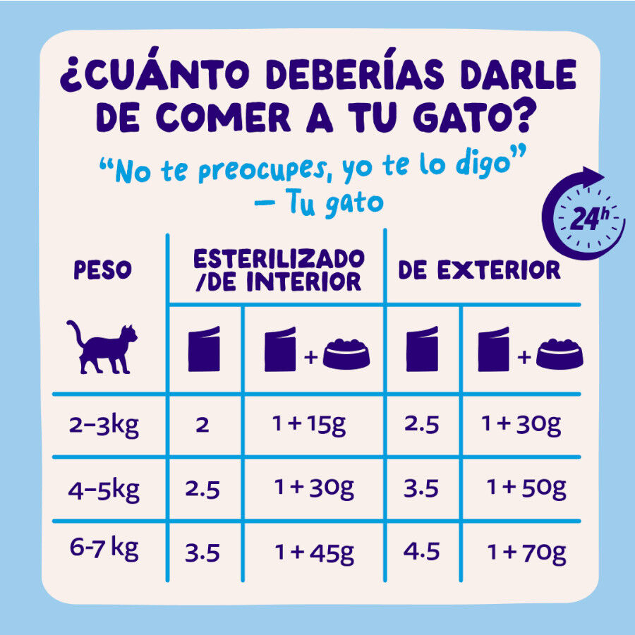 12 x 85 g Edgard & Cooper Selecci&oacute;n Captura del D&iacute;a sobre en salsa para gatos, , large Imagen numero 8