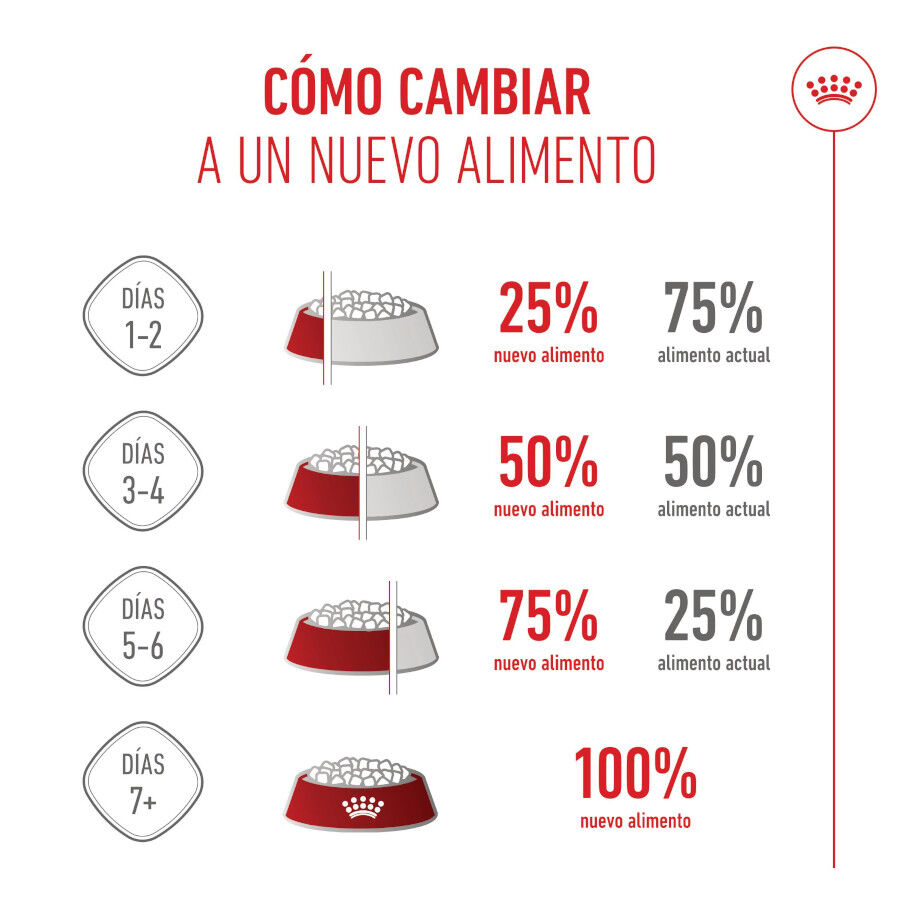 Royal Canin Starter MotheryBaby Maxi pienso para perros thumbnail