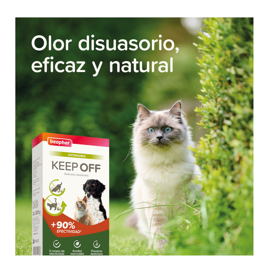 Beaphar Repelente en gr&aacute;nulos para exterior para perros y gatos, , large Imagen numero 8