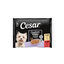 4 sobres x 100 g Cesar Senior 8+ Selecci&oacute;n en Gelatina sobres para perros - Multipack, , large indicador imagen numero 1