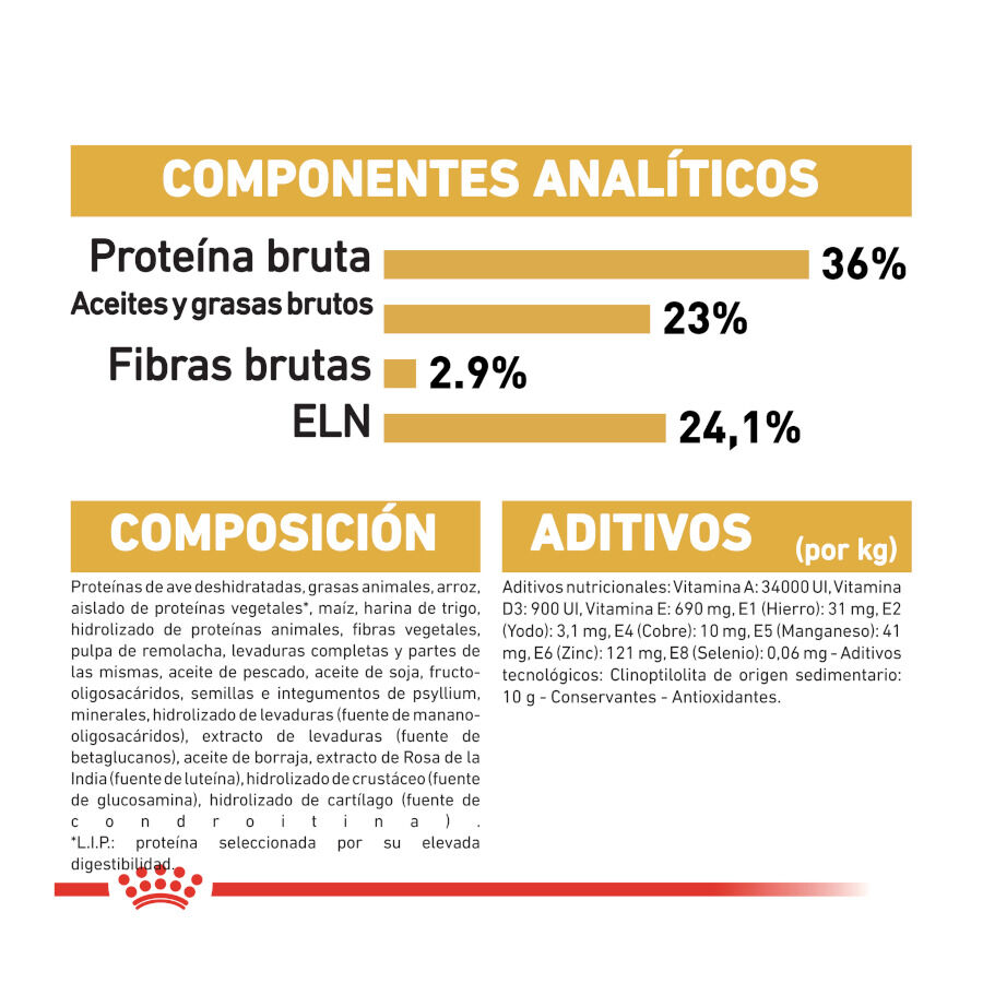 Royal Canin Kitten Maine Coon pienso para gatos thumbnail