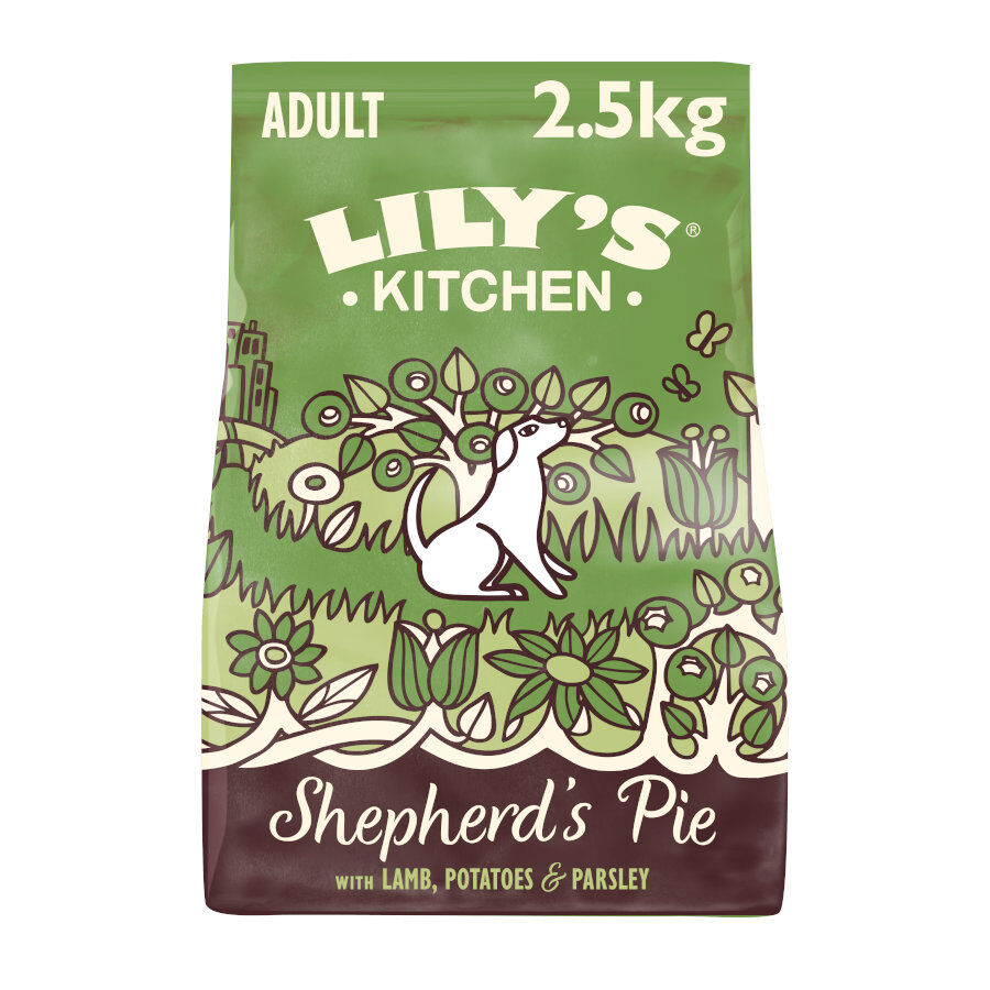 Lily's Kitchen Adult Cordero pienso para perros
