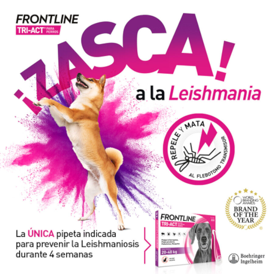 Frontline Tri-Act Pipetas Antiparasitarias para perros thumbnail