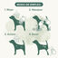Beaphar Pelo Negro Champú para perros, , large indicador imagen numero 4