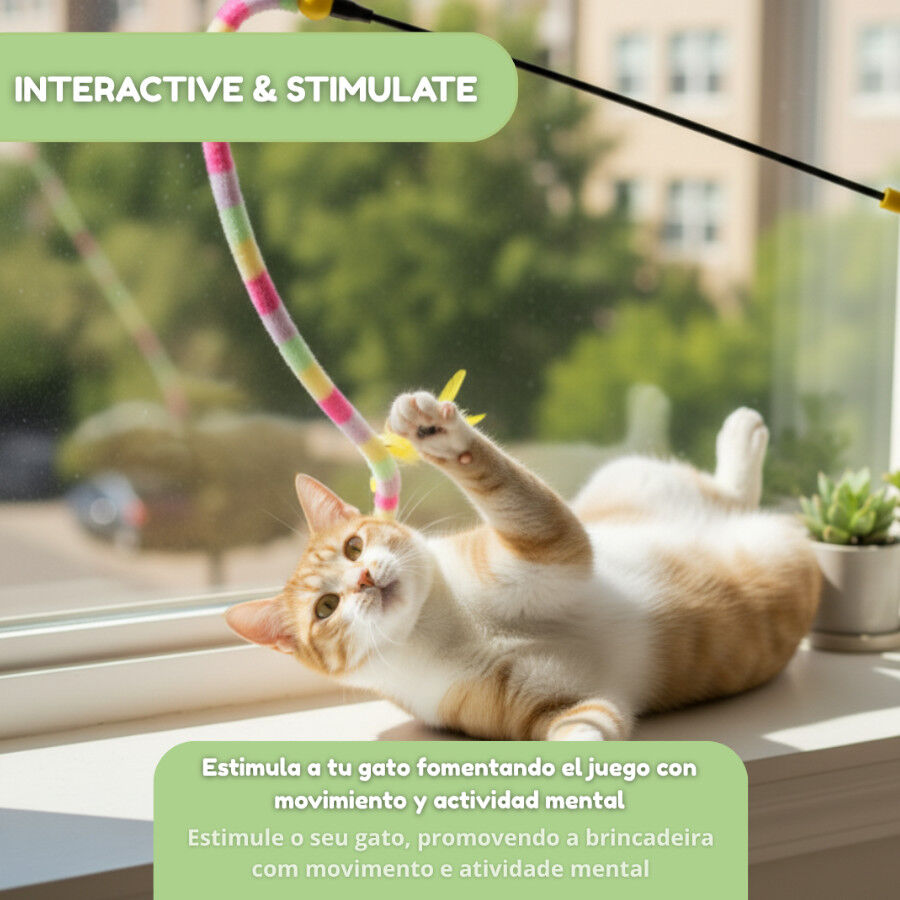 Tootoy! Caña Interactiva Colorida para gatos thumbnail