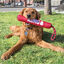 Kong Signature Palo con Cuerda para perros, , large indicador imagen numero 2