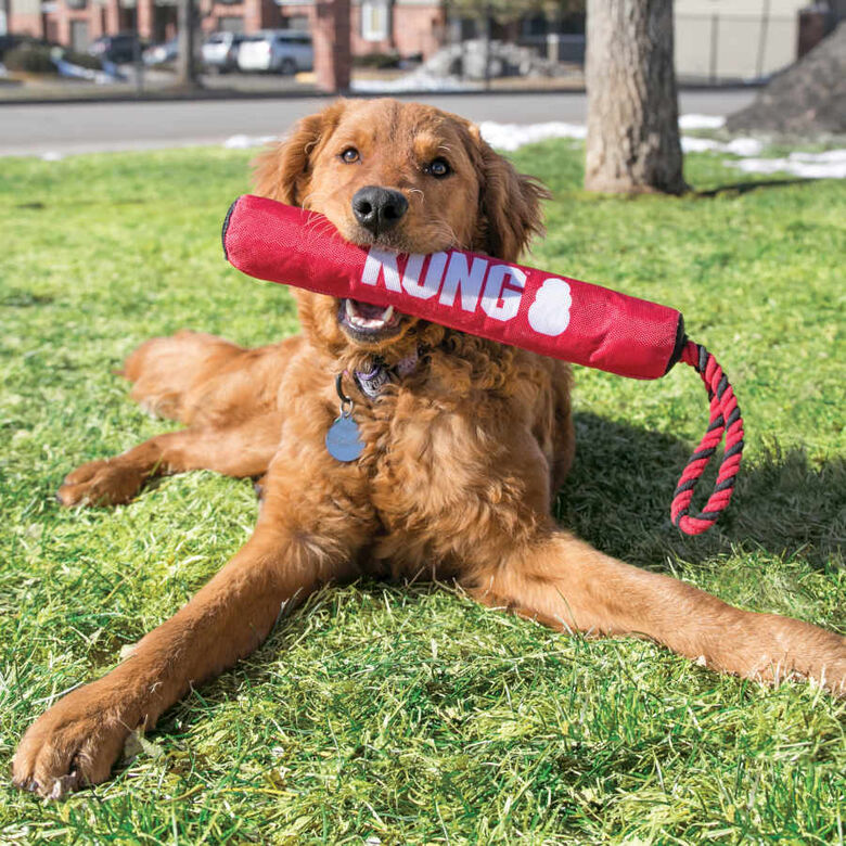 Kong Signature Palo con Cuerda para perros thumbnail