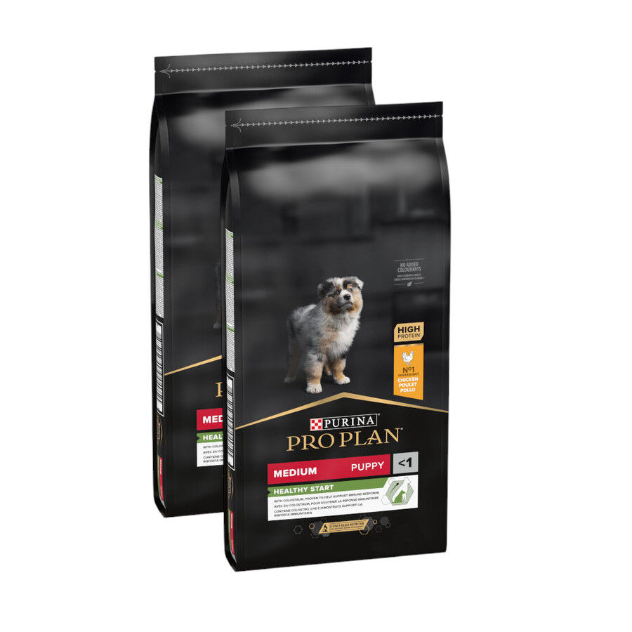 Pro Plan Puppy Medium Pollo pienso para Cachorros