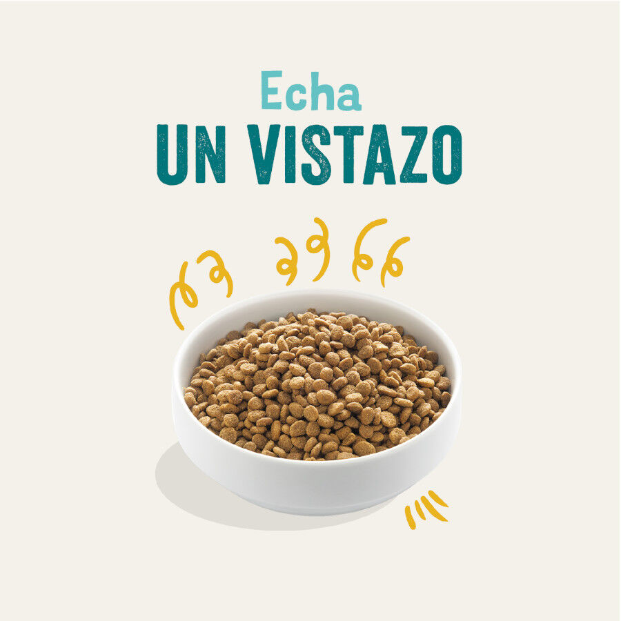 Edgard &amp; Cooper Adult Bio Pavo pienso para perros thumbnail