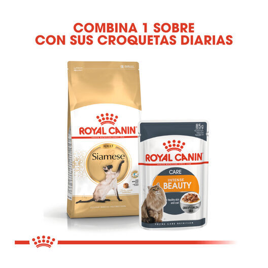 Royal Canin Adult Siamese pienso para gatos thumbnail