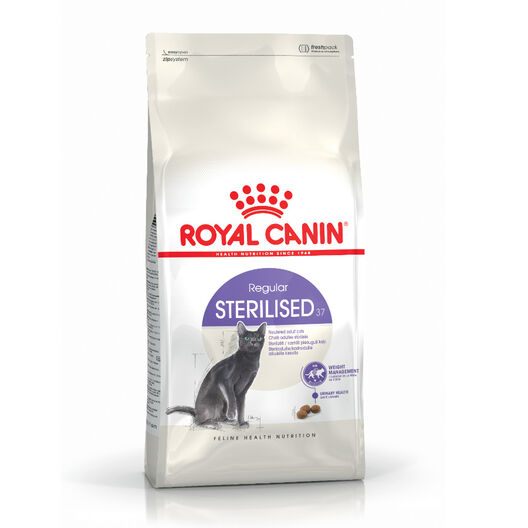 Royal Canin Regular Sterilised 37 pienso para gatos, , large image number null