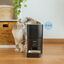 Cecotec Pumba 6000 Purrfect Meal Smart Comedero Automático para perros y gatos, , large indicador imagen numero 8