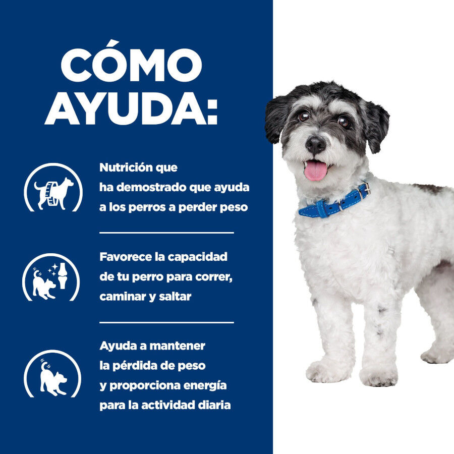6 kg Hill's Prescription Diet Metabolic + Mobility Mini j/d pienso para perros, , large Imagen numero 4