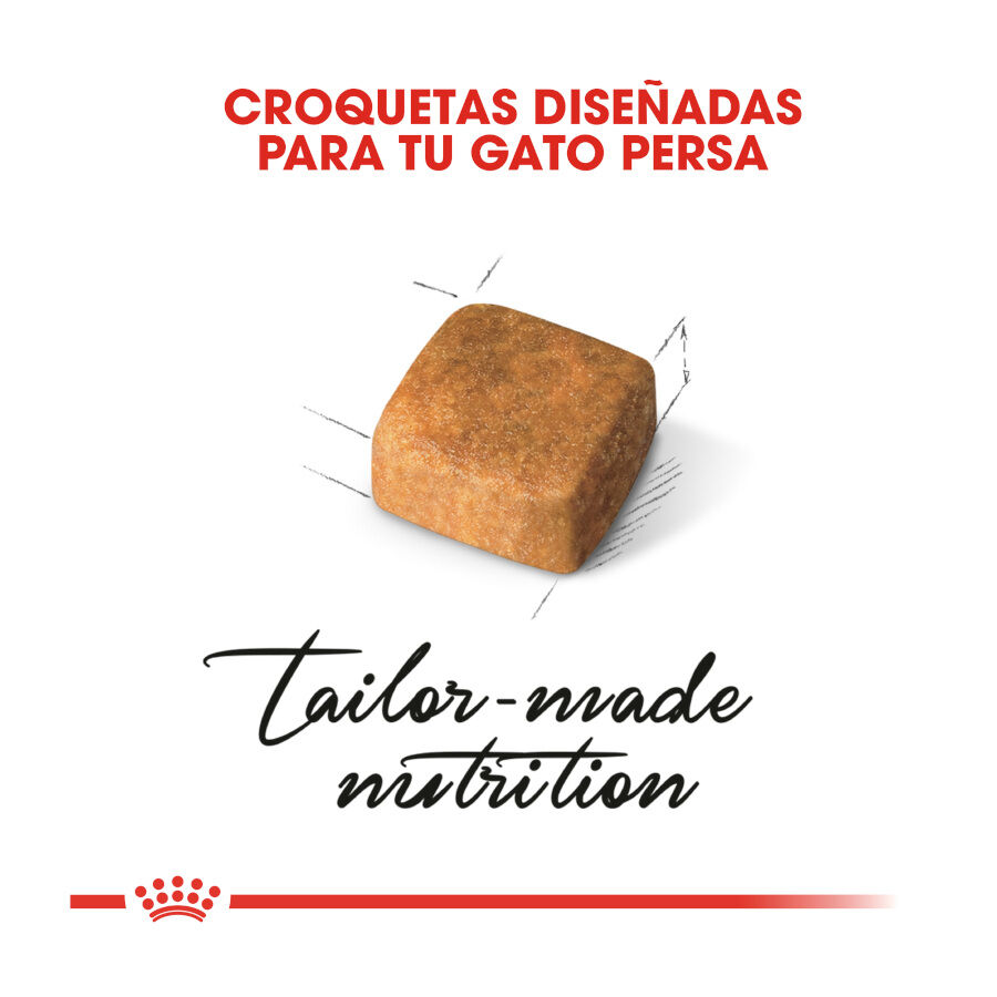 Royal Canin Kitten Persia pienso para gatos thumbnail