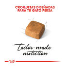 Royal Canin Kitten Persia pienso para gatos, , large image number null