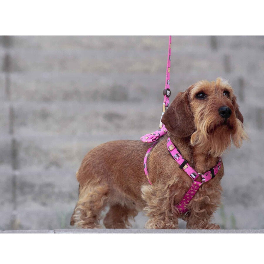 Dukier Dogtella Cl&aacute;sico Arn&eacute;s Estampado Nutella para perros, , large Imagen numero 3