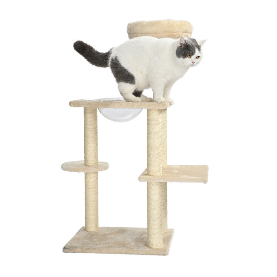 Leeby Luna árbol rascador con cama y juguete para gatos thumbnail