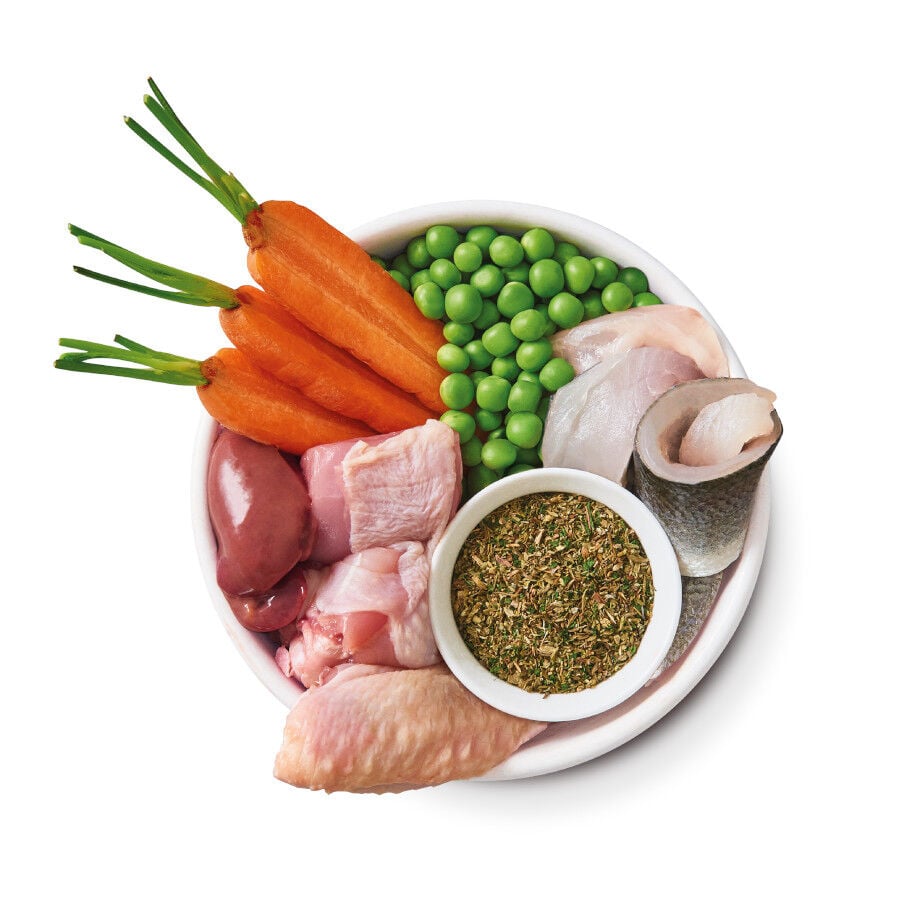 150 g Lily's Kitchen Puppy Organic Pollo tarrina, , large Imagen numero 4