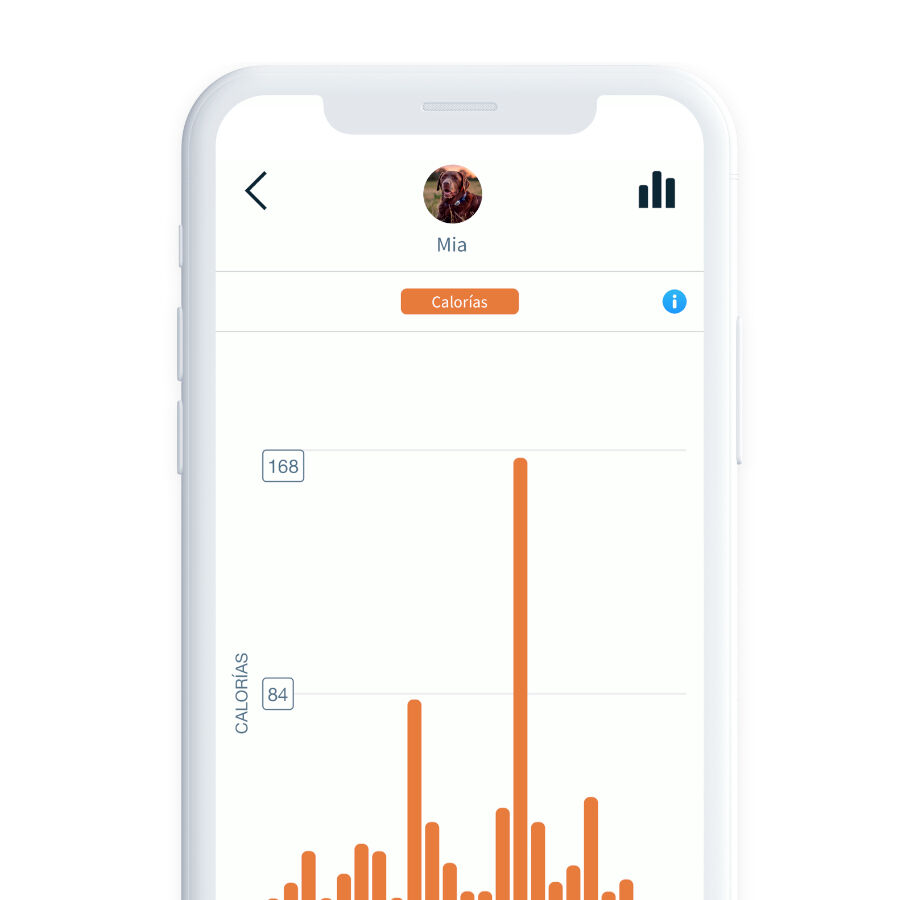 Sure Petcare Animo monitor de Conducta para perros, , large Imagen numero 7