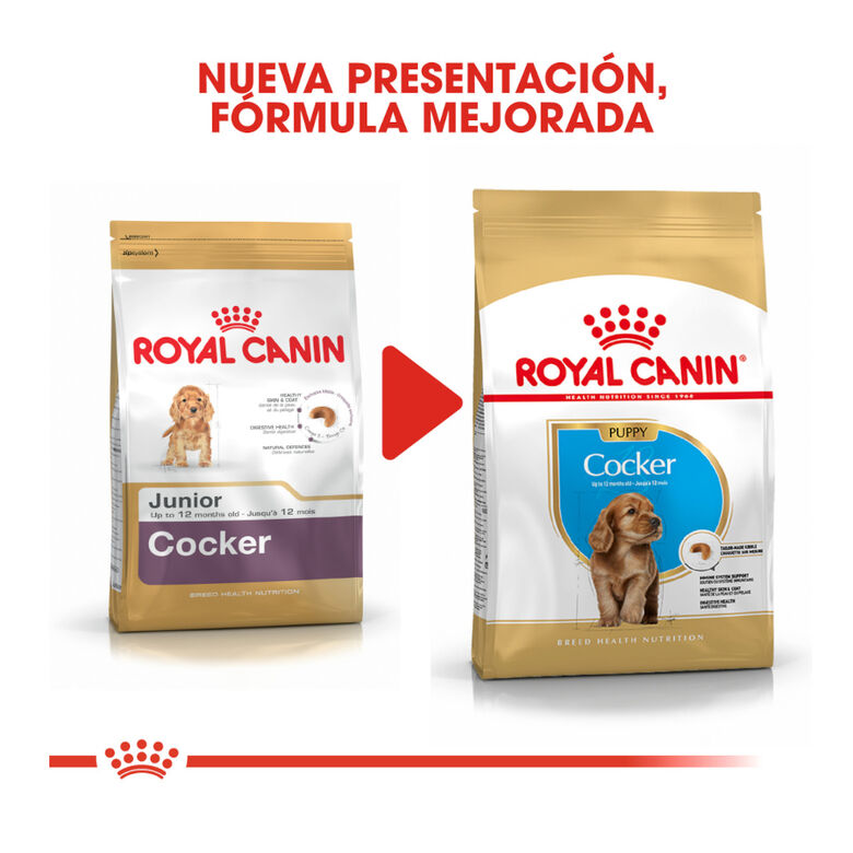 Royal Canin Puppy Cocker pienso para perros thumbnail