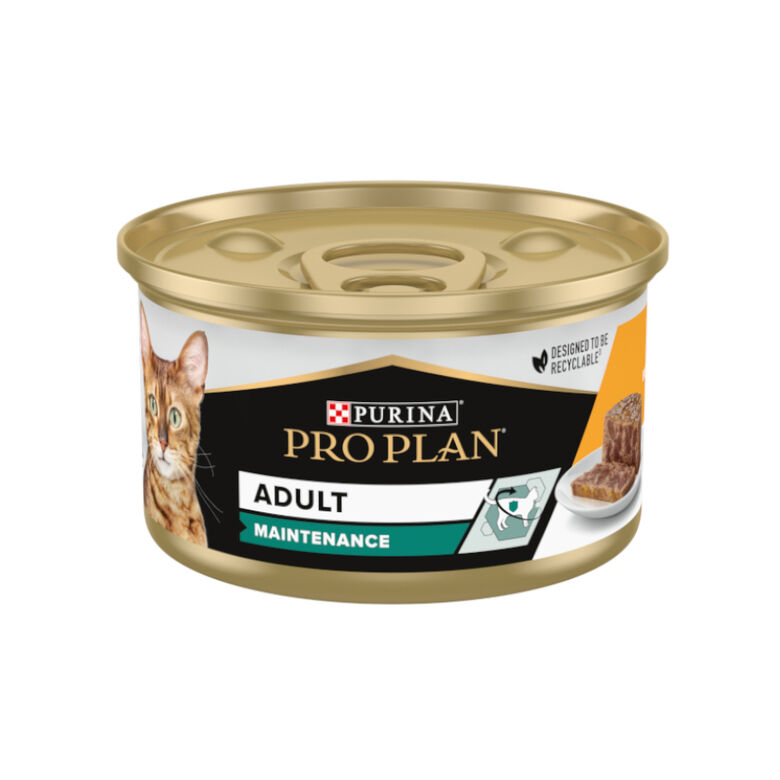Pro Plan Adult Maintenance Terrina rico en pollo para gatos thumbnail