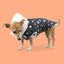 Outech Chubasquero de estrellas con borreguito para perros, , large indicador imagen numero 2