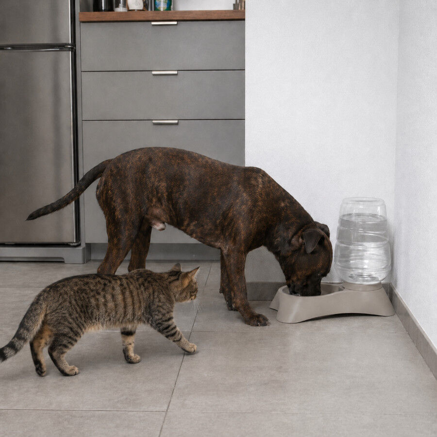 Leeby Tolva Dispensador de Agua para perros y gatos, , large Imagen numero 1
