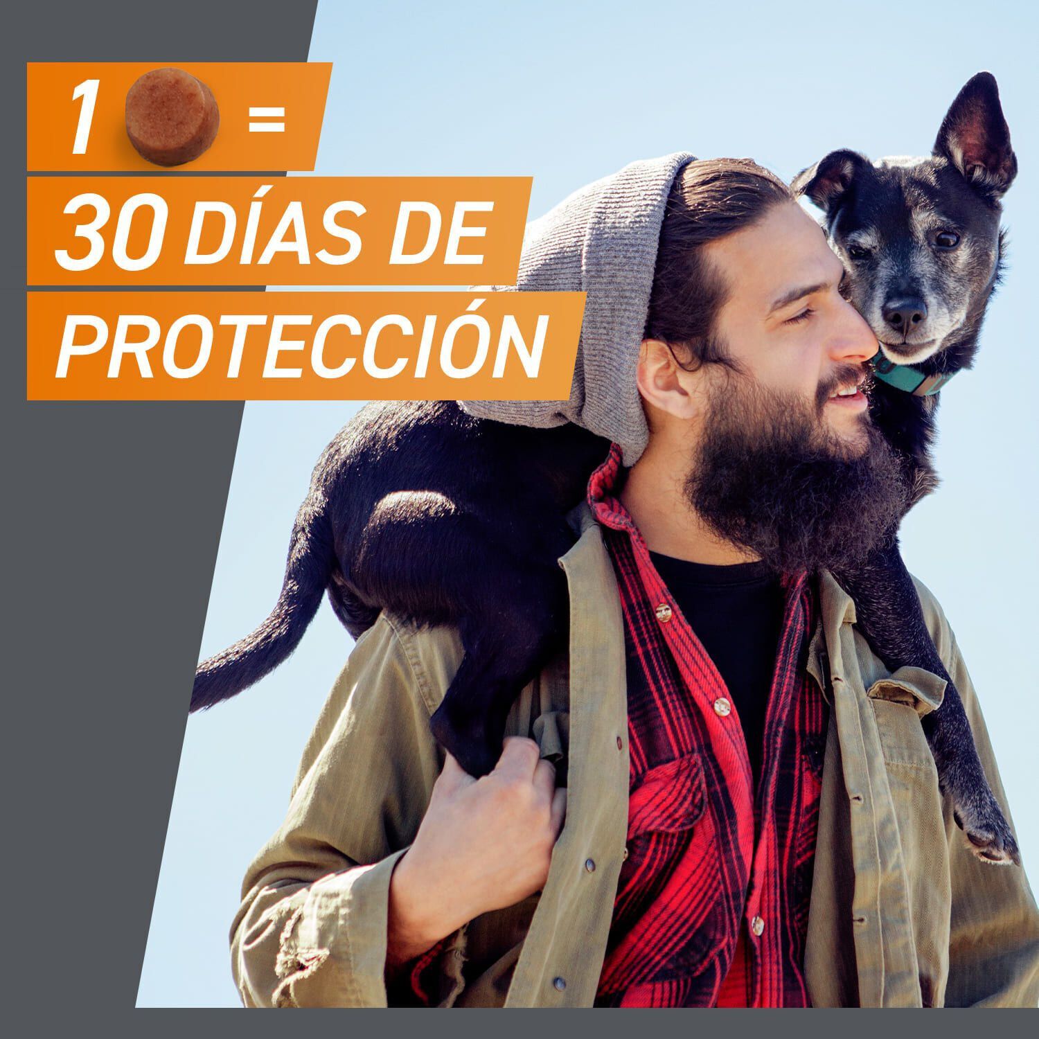 Frontpro Comprimidos Masticables Antiparasitario para perros thumbnail